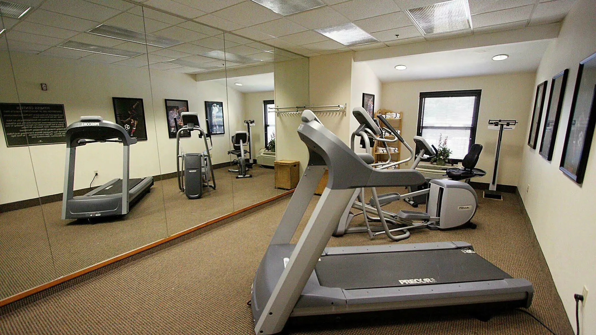 Hotel Hampton Inn & Suites Memphis-Wolfchase Galleria Bartlett
